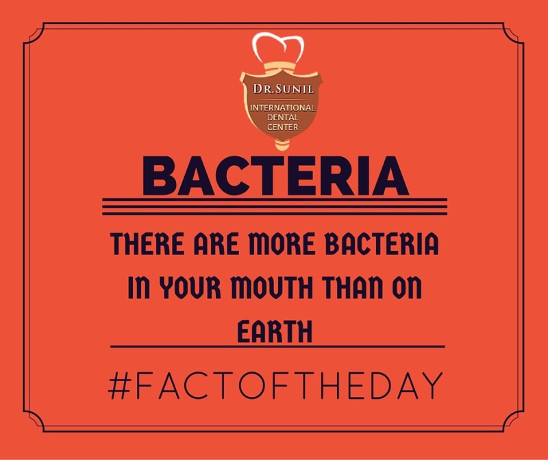 Bacteria Facts