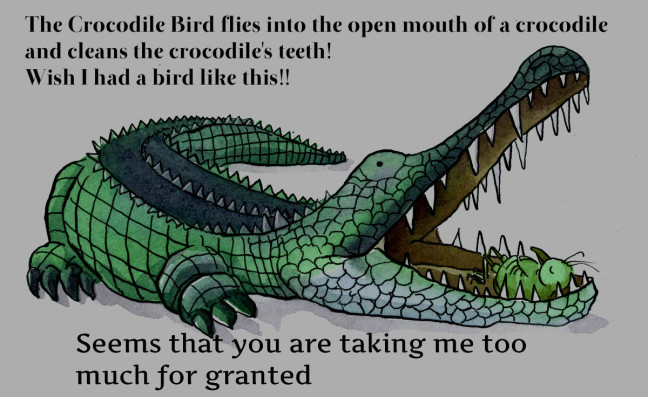 bird in crocodile mouth